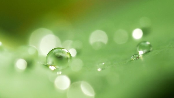 green water drops, decorative only
